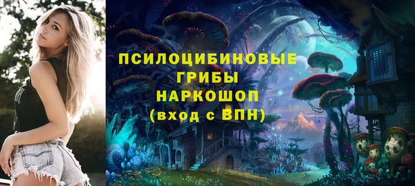 дживик Осинники